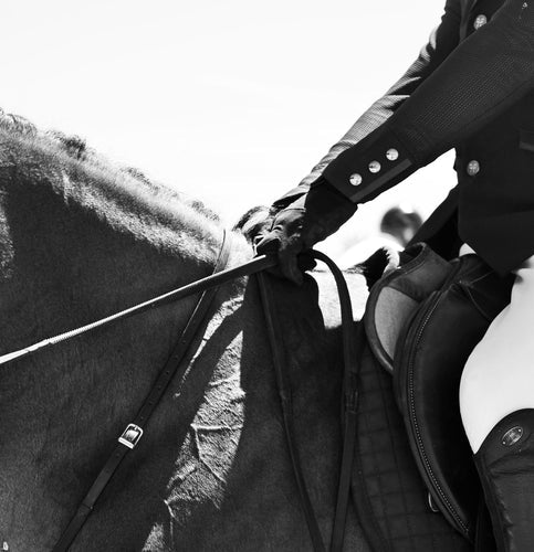 L’emphysème chez le cheval : Comprendre et gérer cette maladie respiratoire