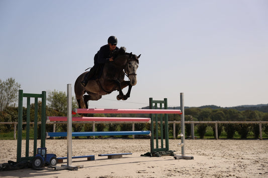 Cavalier homme qui saute un obstacle sur son cheval