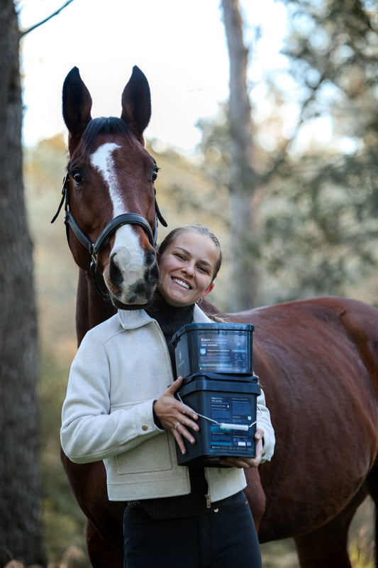 Compléments alimentaires classiques vs. EquiMojo : Quelle est la meilleure option pour votre cheval ?