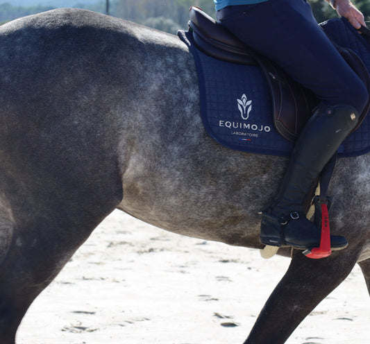 Pourquoi et comment vermifuger son cheval régulièrement ?