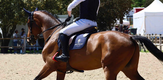 L’arthrose chez le cheval : comment les compléments alimentaires soulagent les douleurs articulaires ?