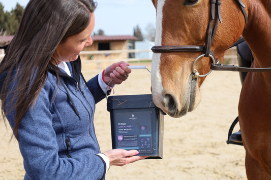 Femme montre un seau de Equi Draino à un cheval