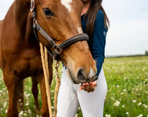 Femme qui donne à manger dans la main à son cheval