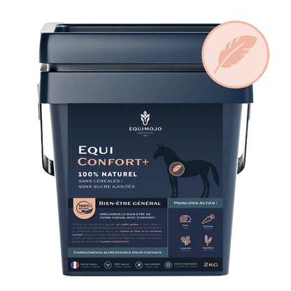 Equi-Confort+