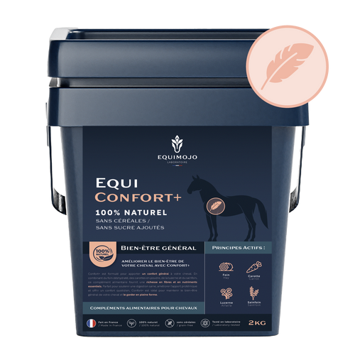 Equi-Confort+