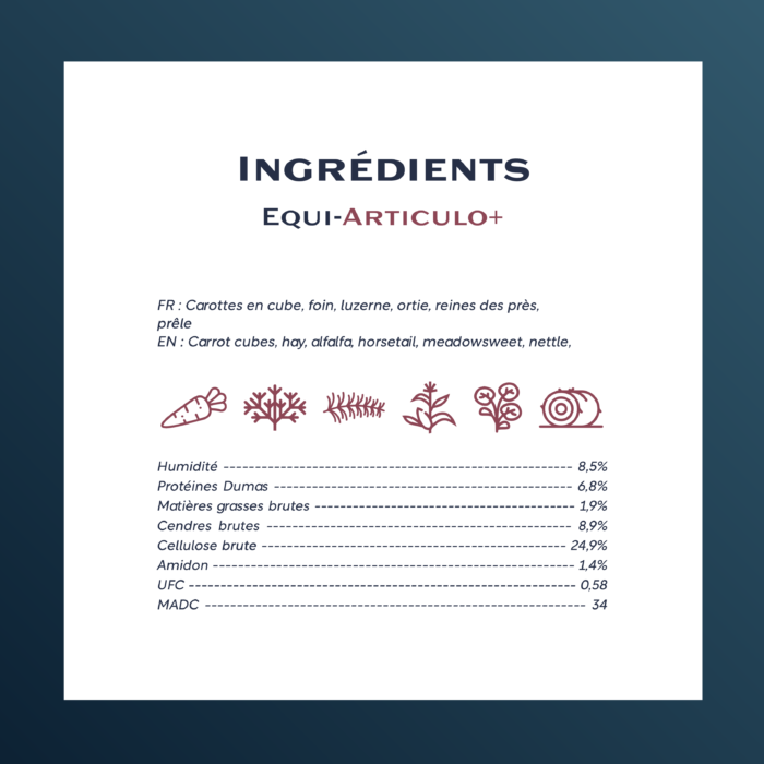 Equi-Articulo+