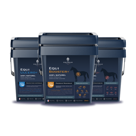 Pack concours 2 Kgs