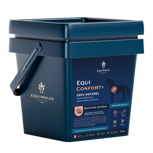 Equi-Confort+